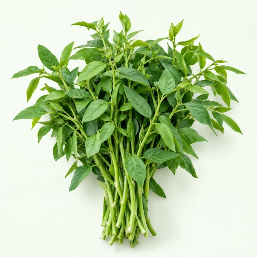 Sabah Veggie Sayur Manis